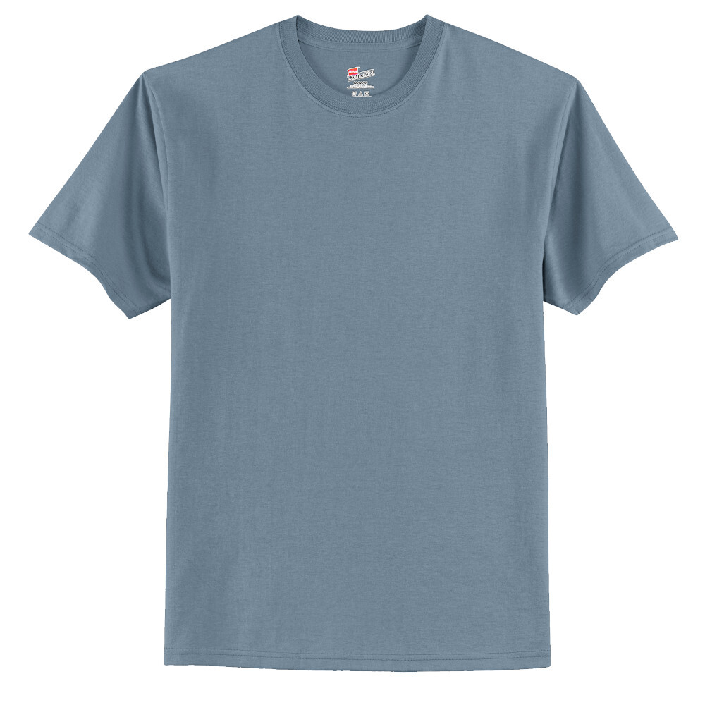 Hanes Men's AuthenticT TShirt Digi America